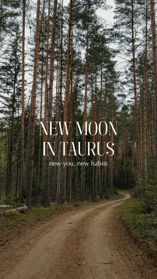 Midheaven in your birth chart — The Fox Hill Witch