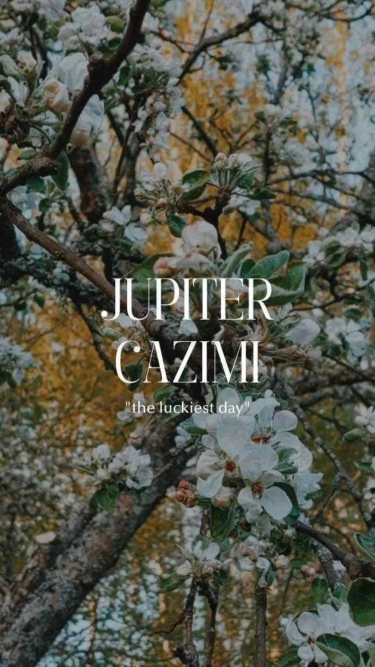 Midheaven in your birth chart — The Fox Hill Witch