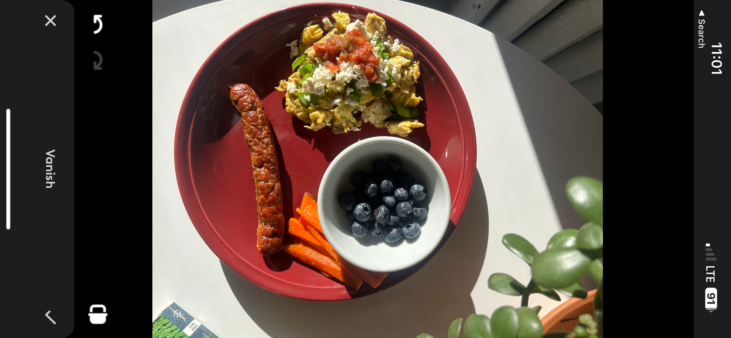 A plate with scrambled eggs topped with green onions, a spoonful of salsa, a cooked sausage link, sliced carrots, and a small bowl of blueberries, placed on a white surface with sunlight and a green plant nearby.