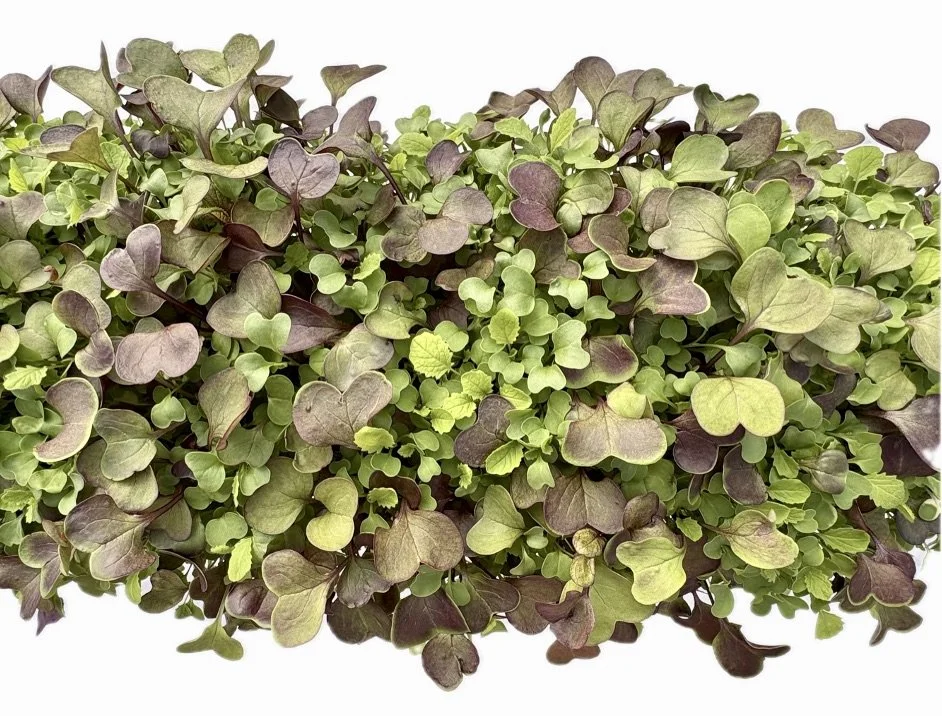 Superfood Microgreen Mix