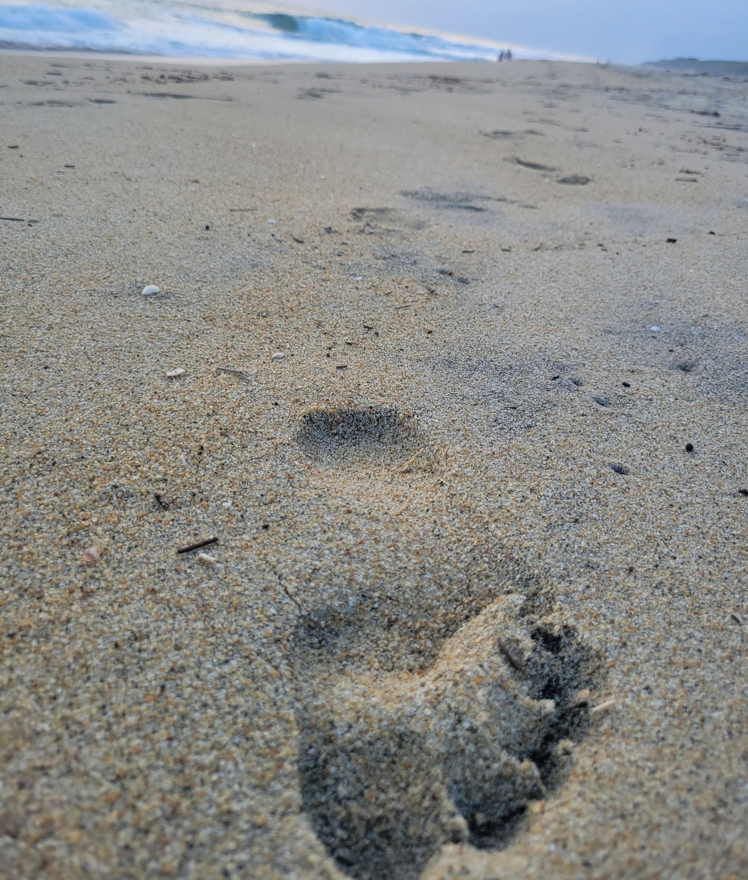 Footprint in sandy beach with ocean waves and cloudy sky in the background.