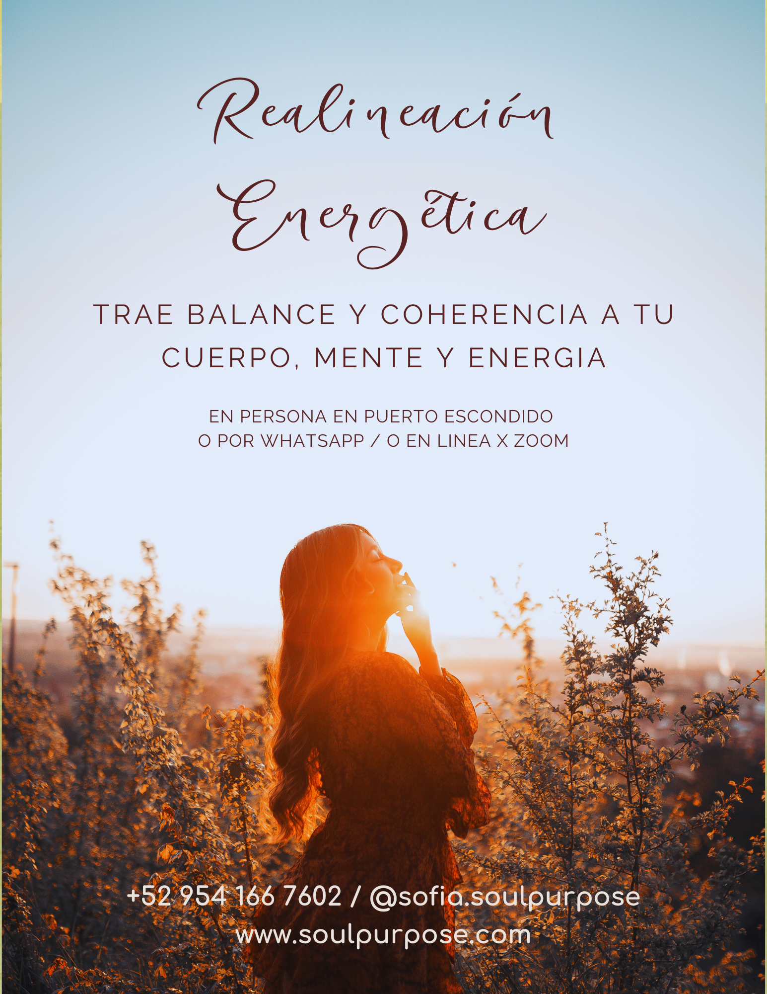 Realineación Energética.png