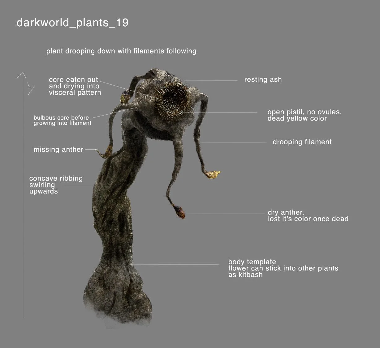Diagram of a darkworld plant resembling a small, dark, mushroom-like creature with annotations indicating features such as drooping filament, missing anther, concave ribbing, dry anther, and a body template that can be used as a plant. The plant droo