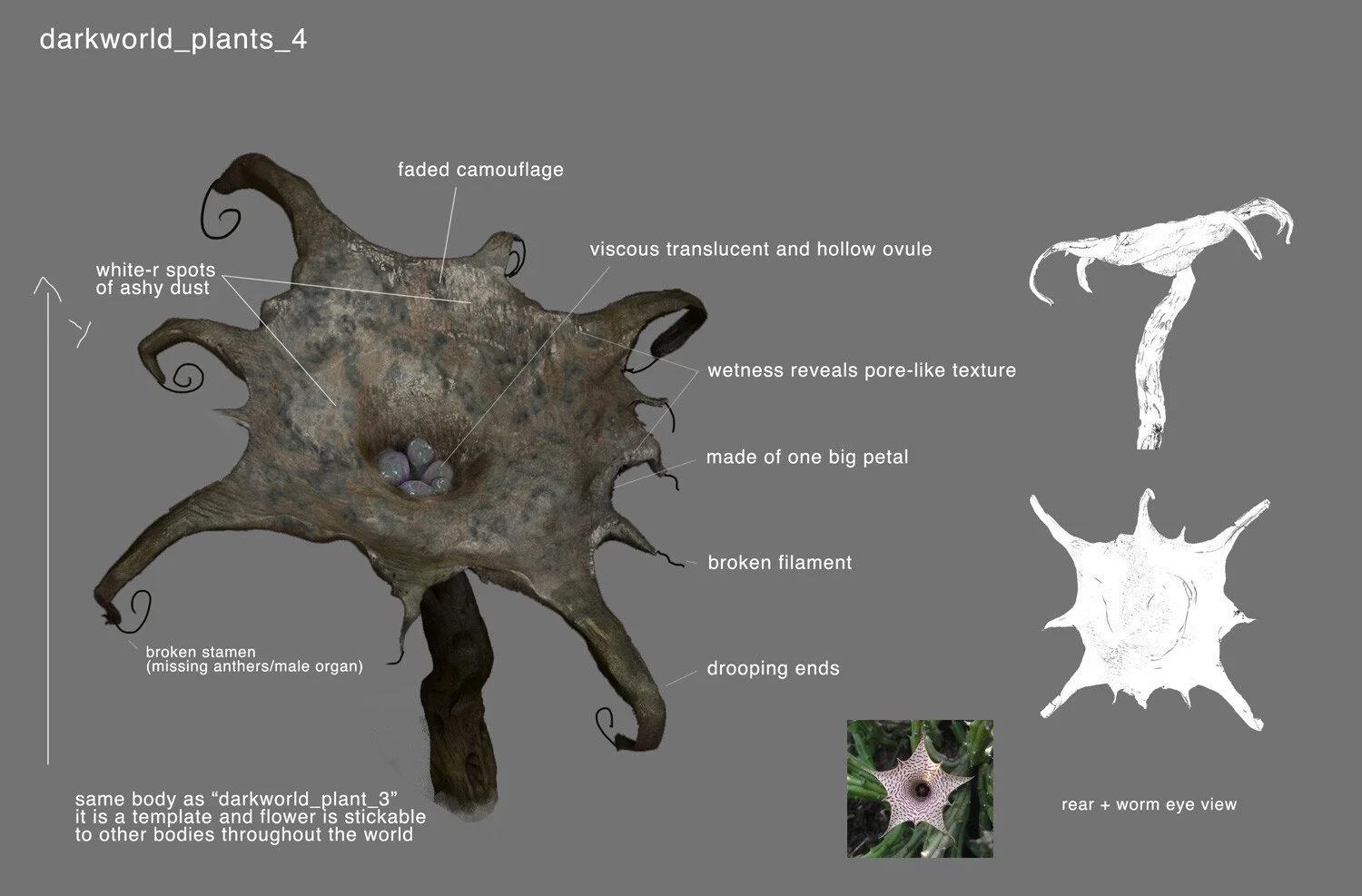 A detailed diagram of a dark world plant, labeled with features such as faded camouflage, wetness revealing pore-like texture, broken filament, drooping ends, and made of one big petal. The image shows both front and rear worm eye views, including a 