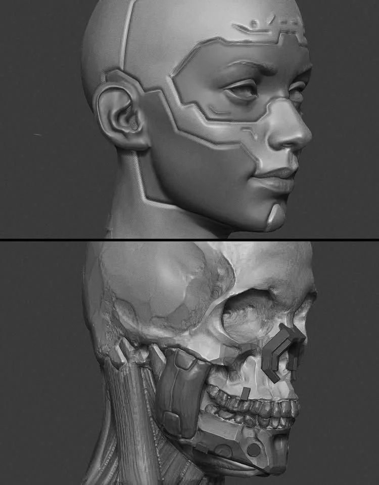 3d concept art of a human bust with cut lines and a robot skull