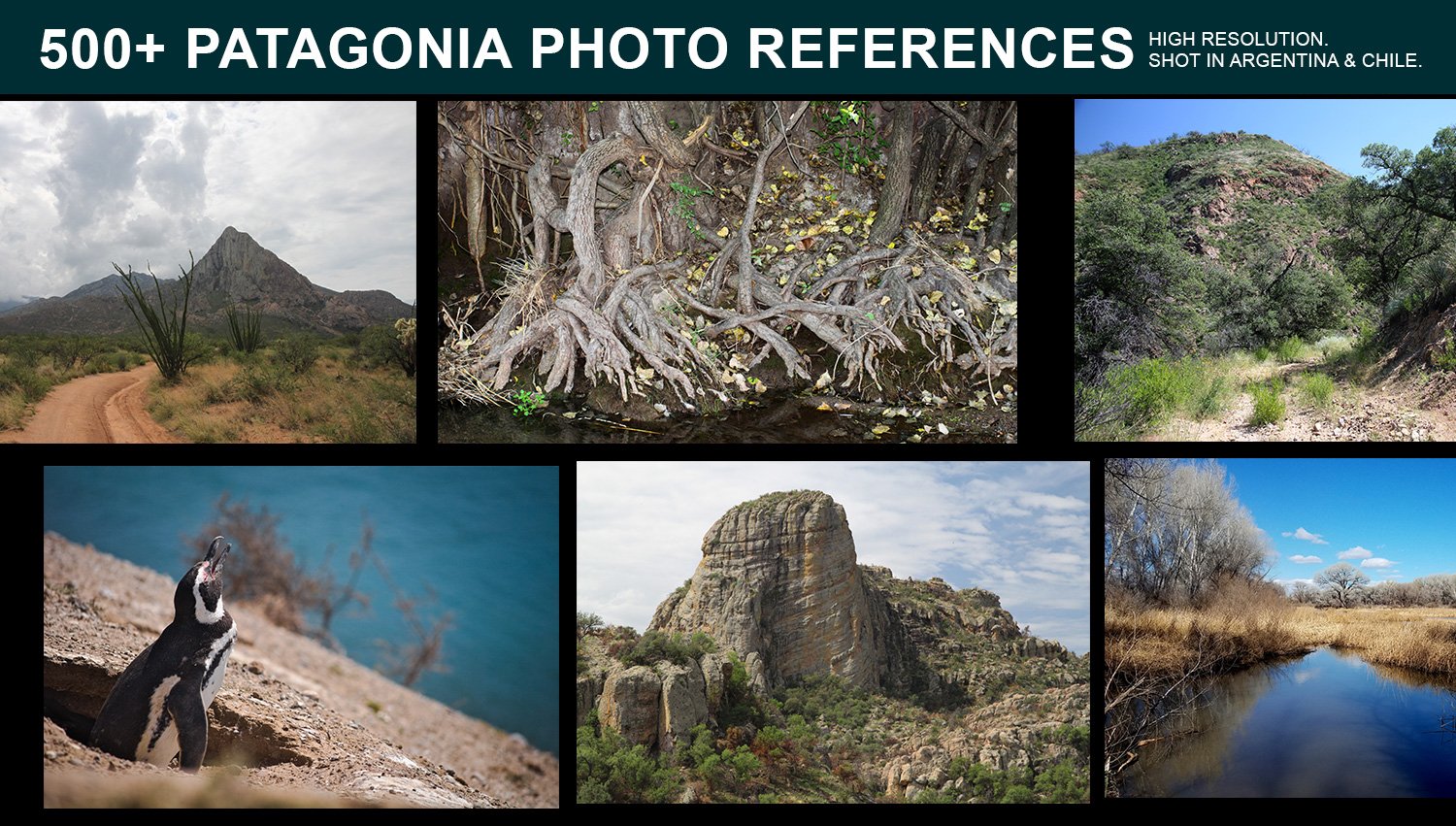 collage of photos of patagonia in thumbnail view