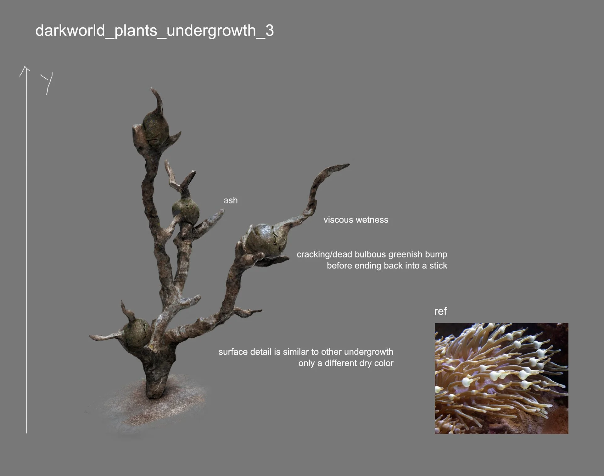 A diagram of a dark underground plant with woody, crusty branches and greenish bulbous tips, showing features like ash, viscous wetness, cracking dead bulbous greenish bumps, and a reference image of a coral or marine organism.