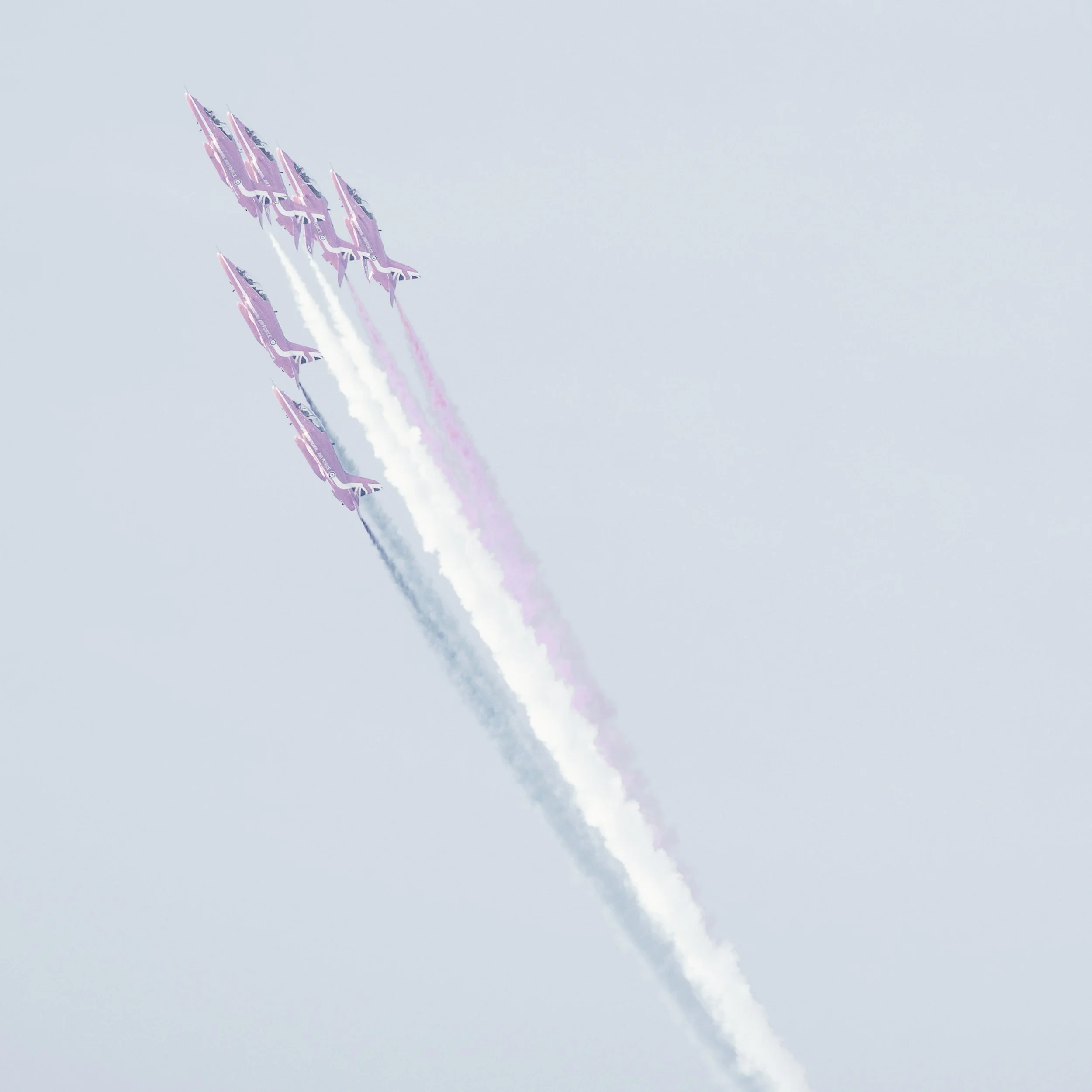 _DSF4049118118.jpg