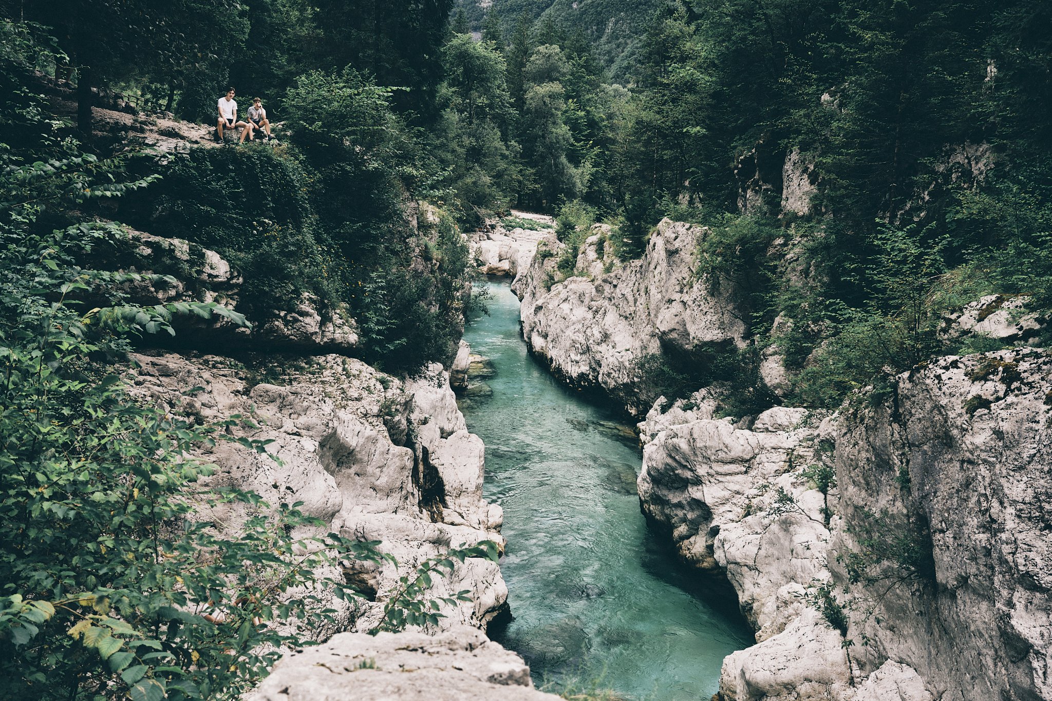 _DSF1597_.jpg