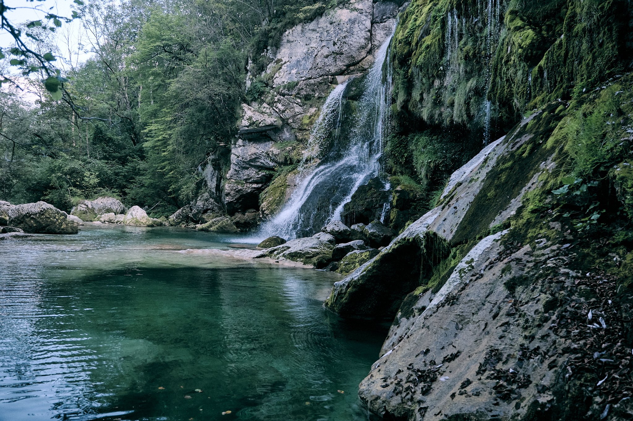 _DSF1904_.jpg