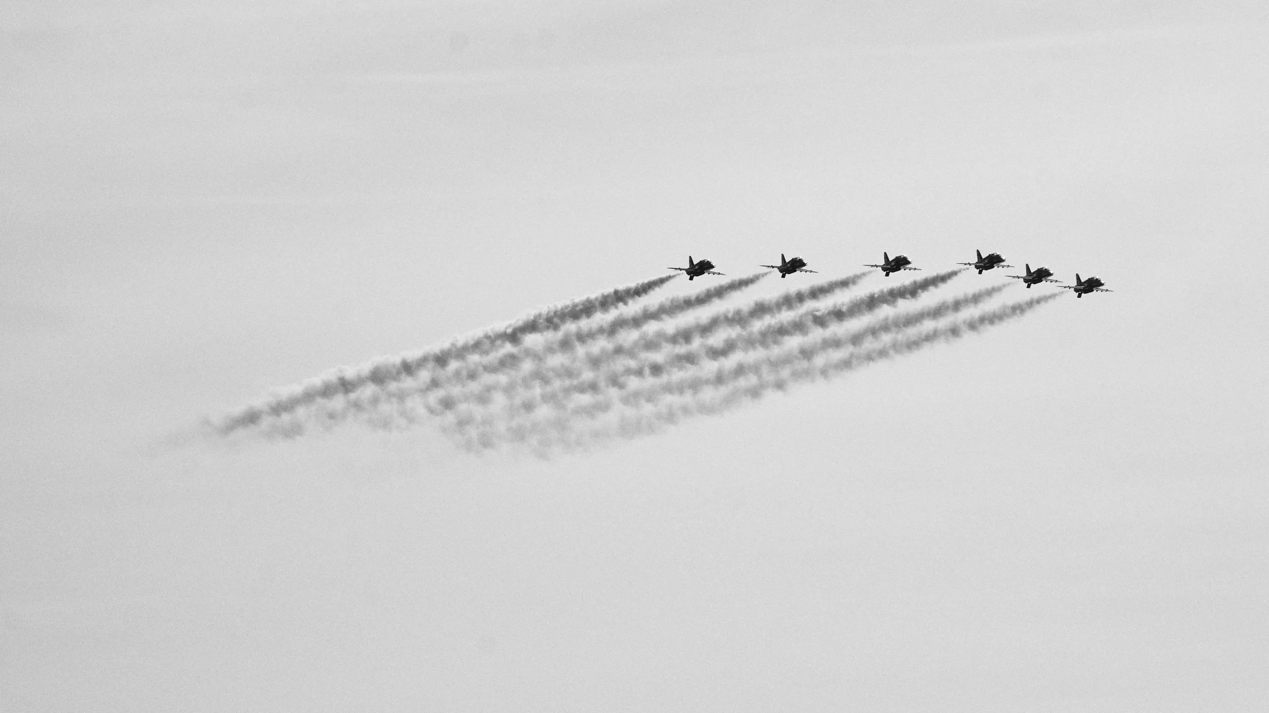 _DSF4065119119.jpg
