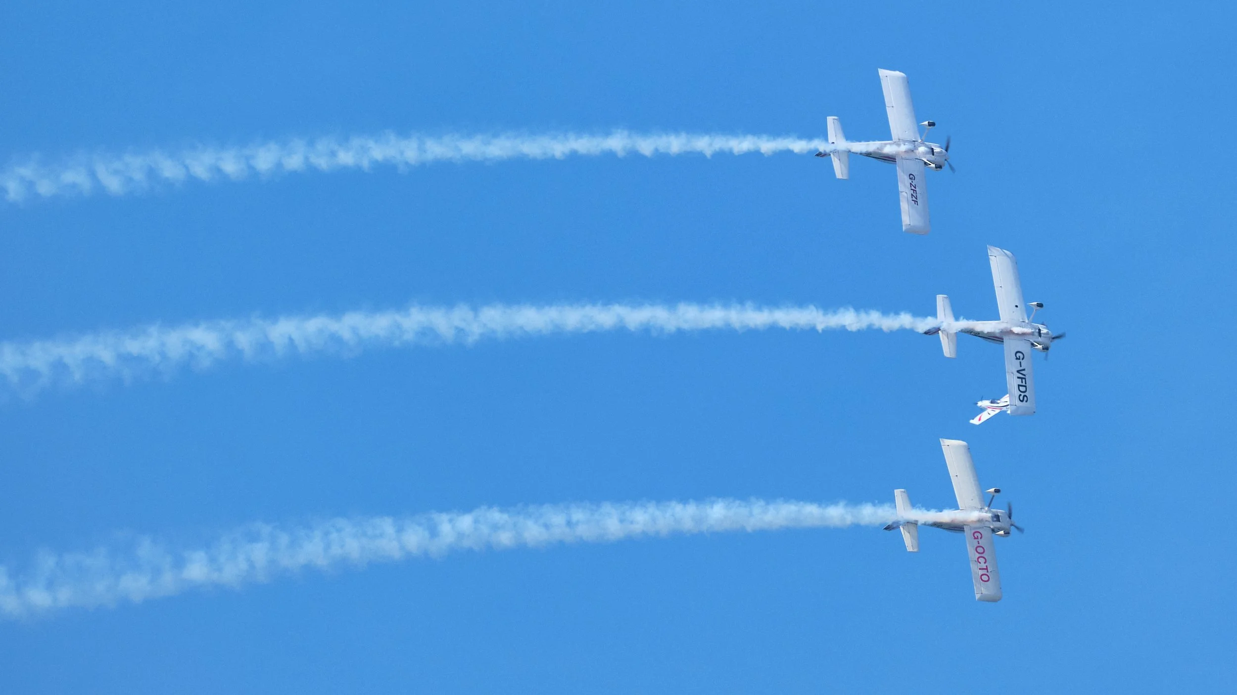 _DSF3924113113.jpg