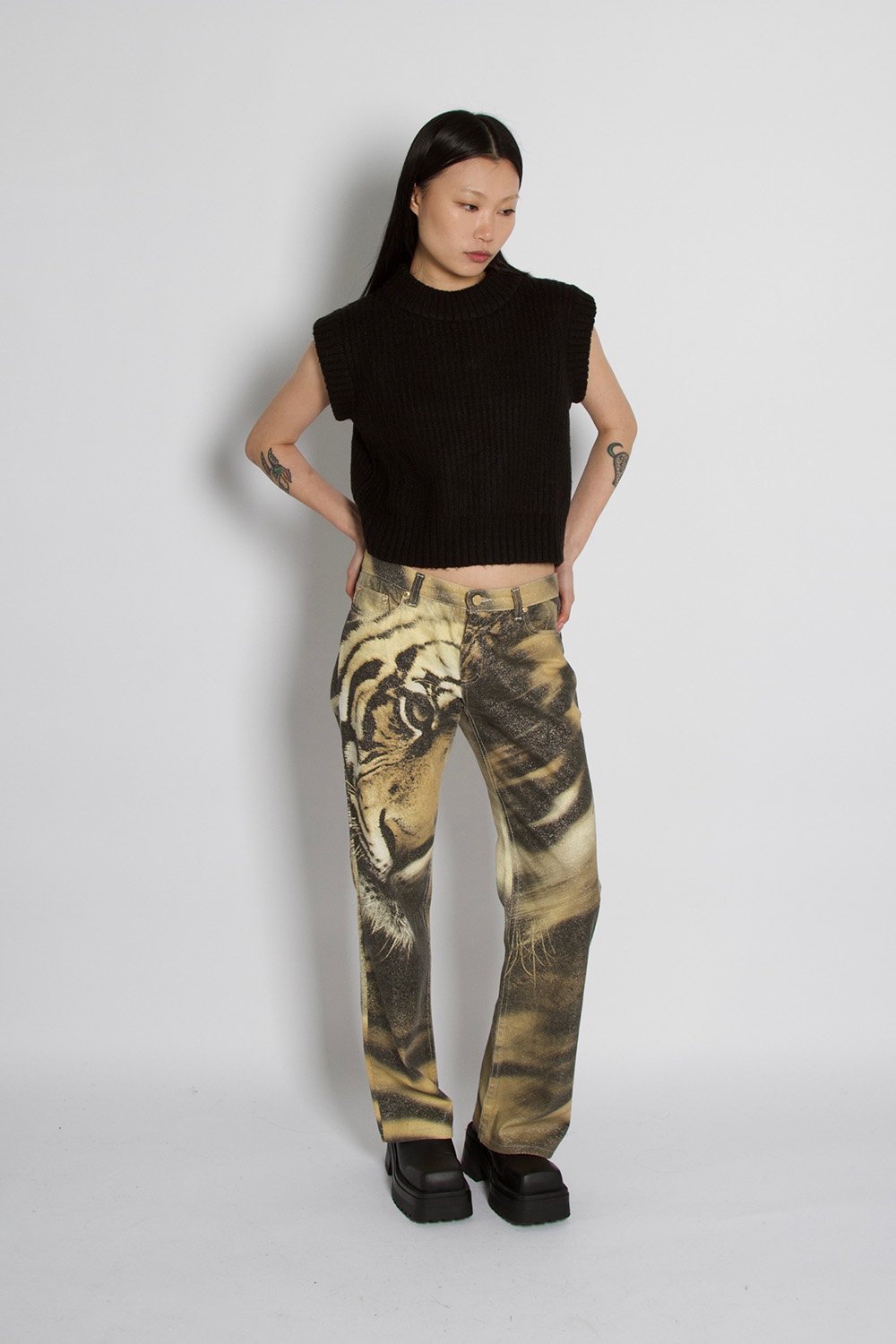 ARCHIVE_SIX_ROBERTO_CAVLLI_TIGER00003.jpg