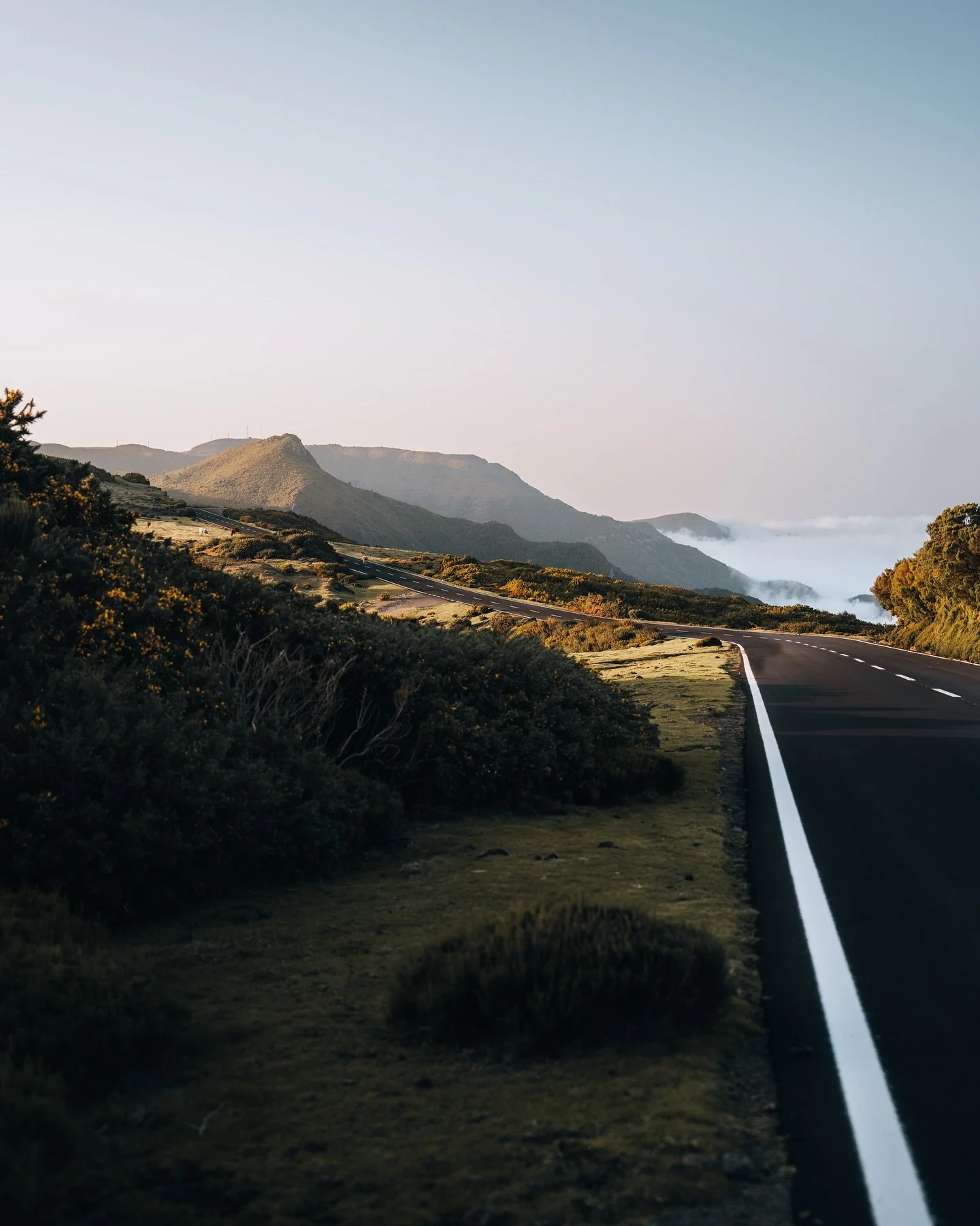 Driving in Madeira is amazing but you never know what ‘obstacles’ you’ll encounter 🐮 
📸: Sony A7R V - 24-70mm F2.8 GM II
#photooftheday #photography #streetphotography #madeira #city #street #clouds #sky #madeiraisland #portugal