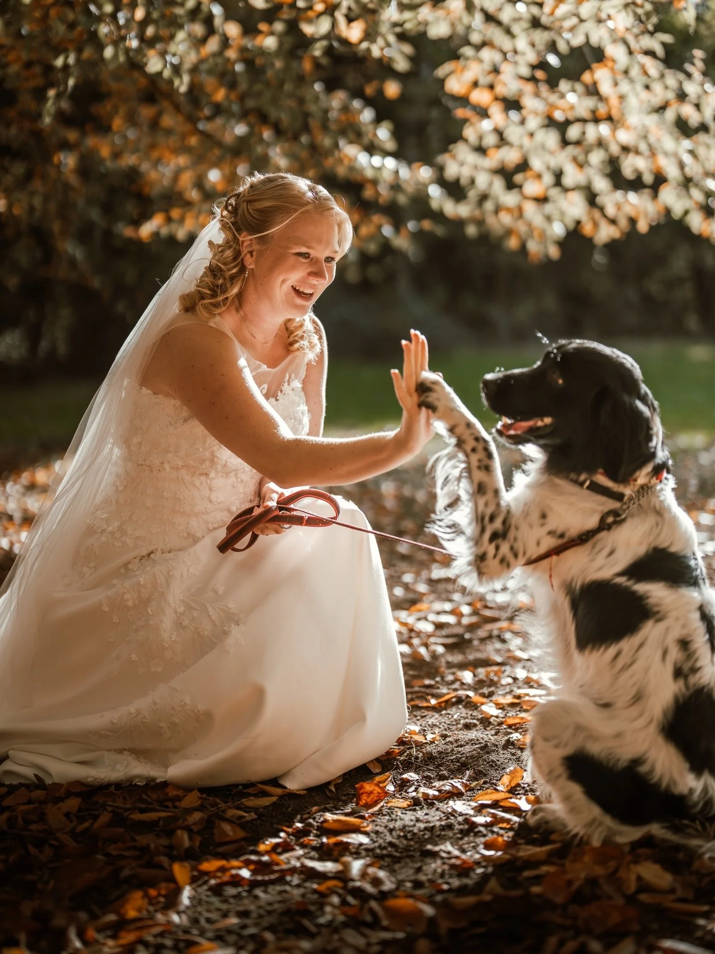 Alle belangrijke gezinsleden op de foto ❤️🐶

#trouwfotograaf #bride #dogsofinstagram #bruiloftfotograaf #trouwen