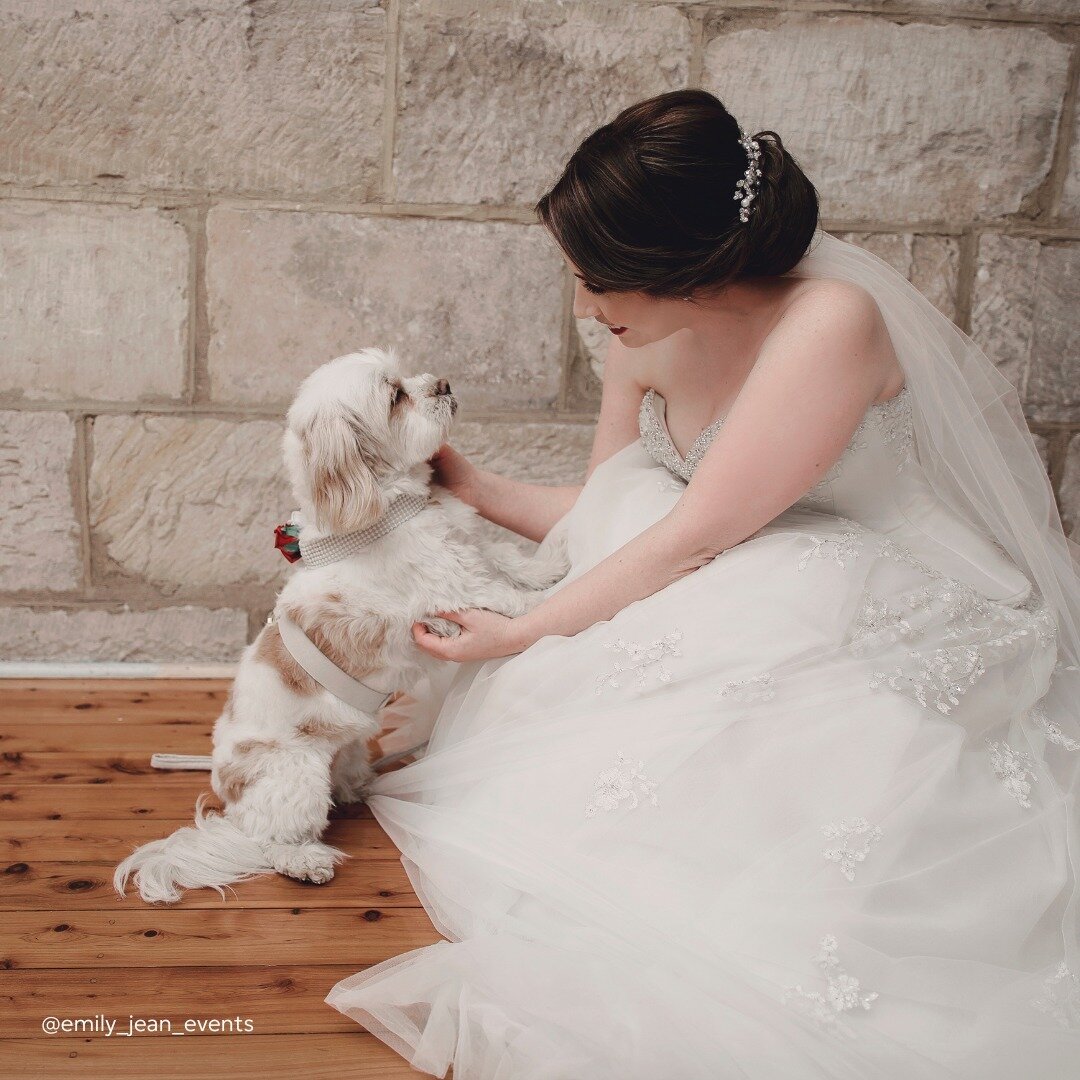 This is your sign to include your fury loved ones into your big day! 🐶 🐱

SWIPE for some cute fury wedding day moments 🖤

📸 @clarityphotography.krystal @firstlookstills @litrato.au 

.
.
.
.
.
.
.
.
.
.
#sydneywedding #wedding #sydney #bride #syd