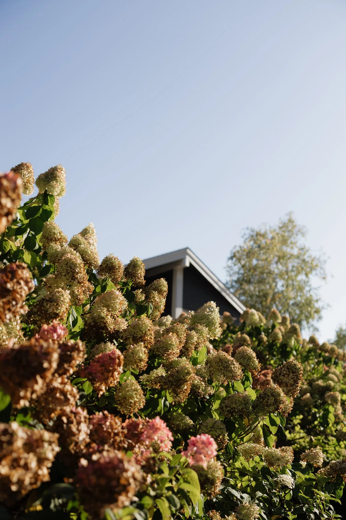 Rochester Wedding Photographer- Han Marie Photo-50.jpg