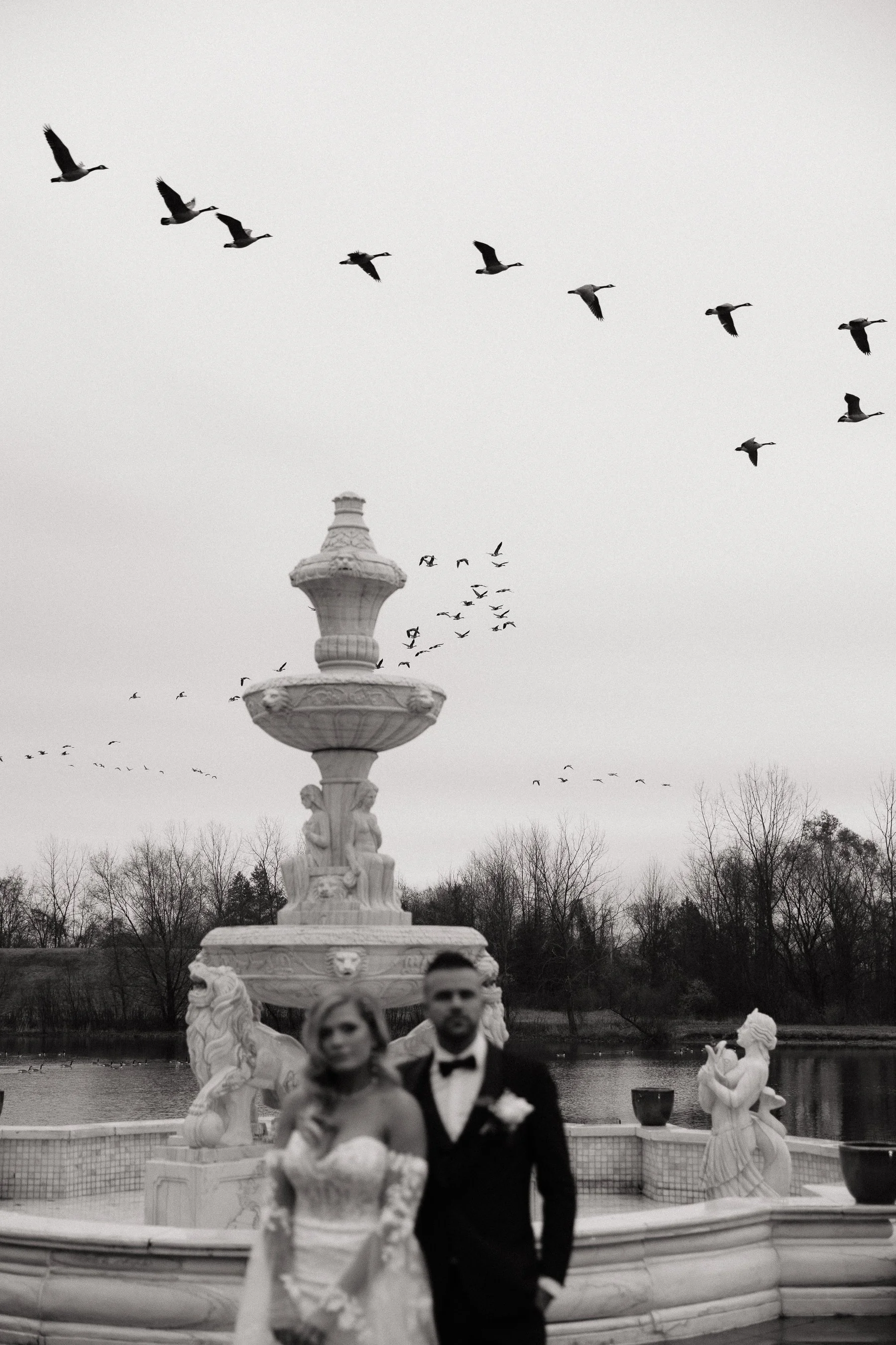 Black and white photo of a wedding couple standing in front of a decorative fountain with birds flying overhead and trees in the background.