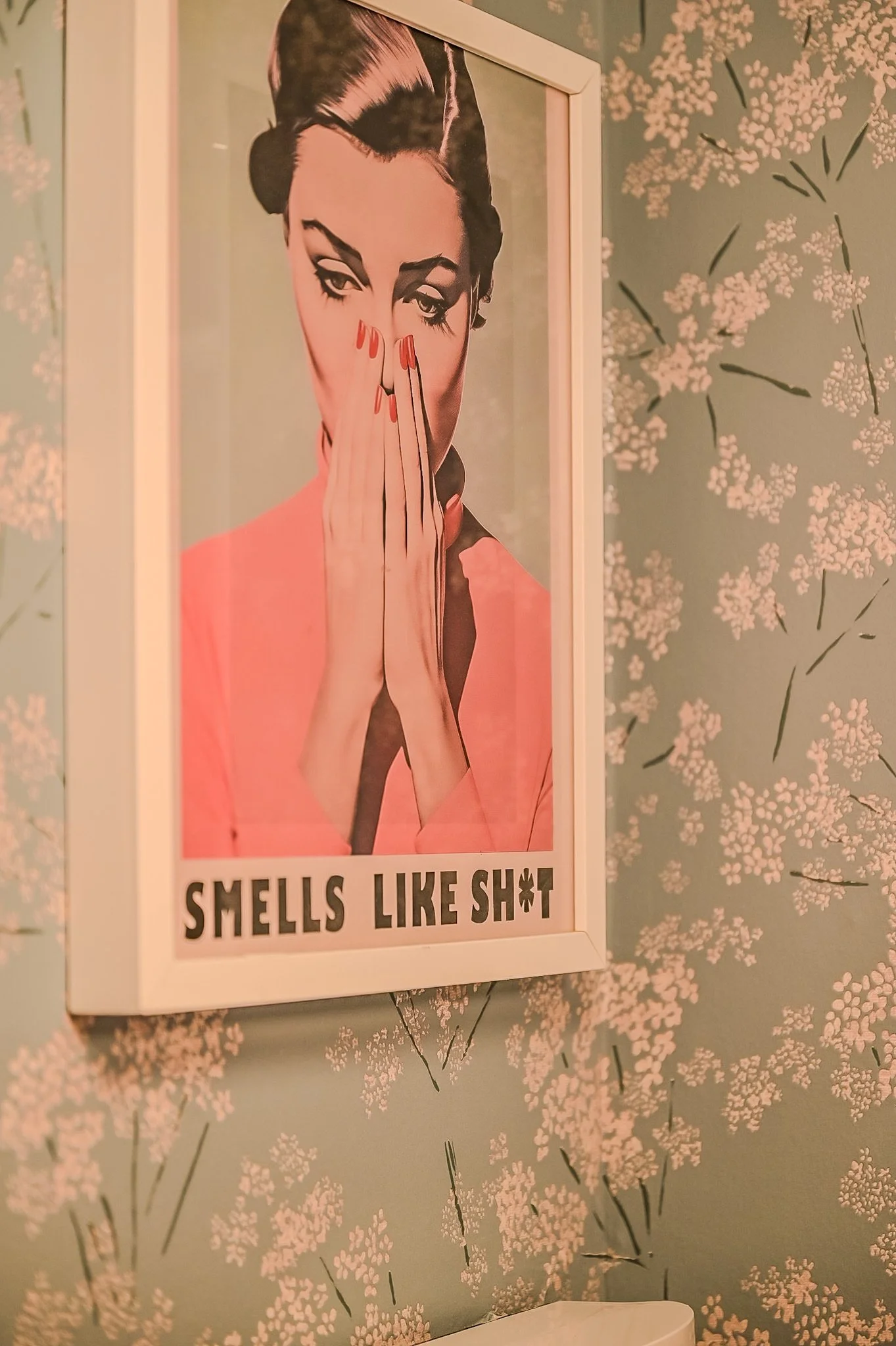 Ein modernistisches Kunstposter einer Frau mit aufgerissenen Augen, die ihre Hände vor den Mund hält, mit dem Text "SMELLS LIKE SH*T" darunter.