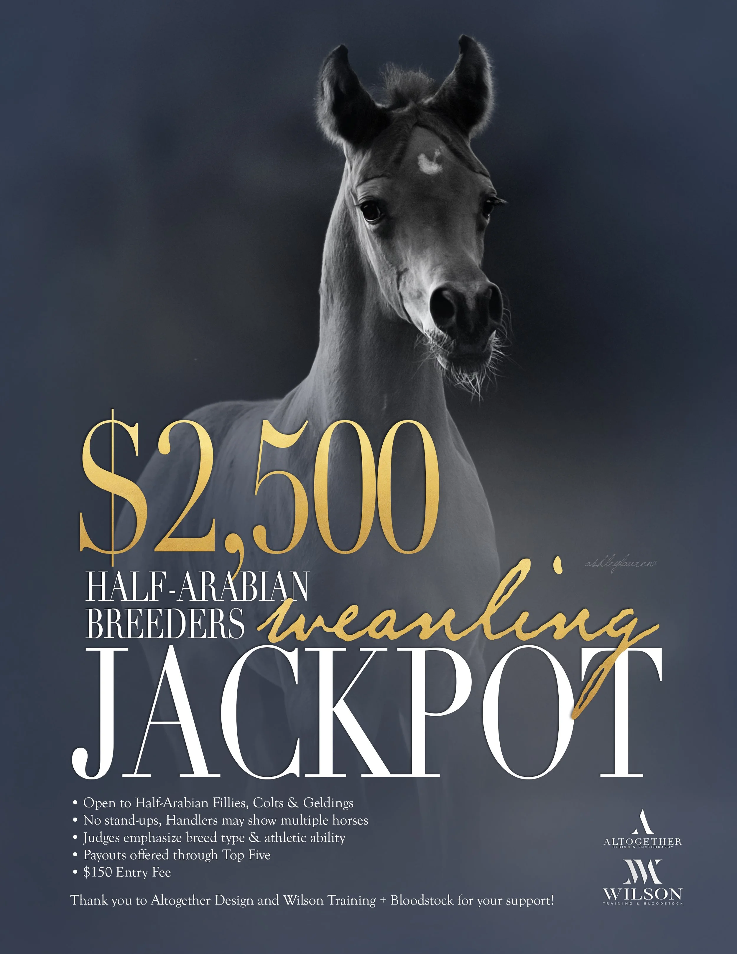 HAWeanlingJackpot.jpg