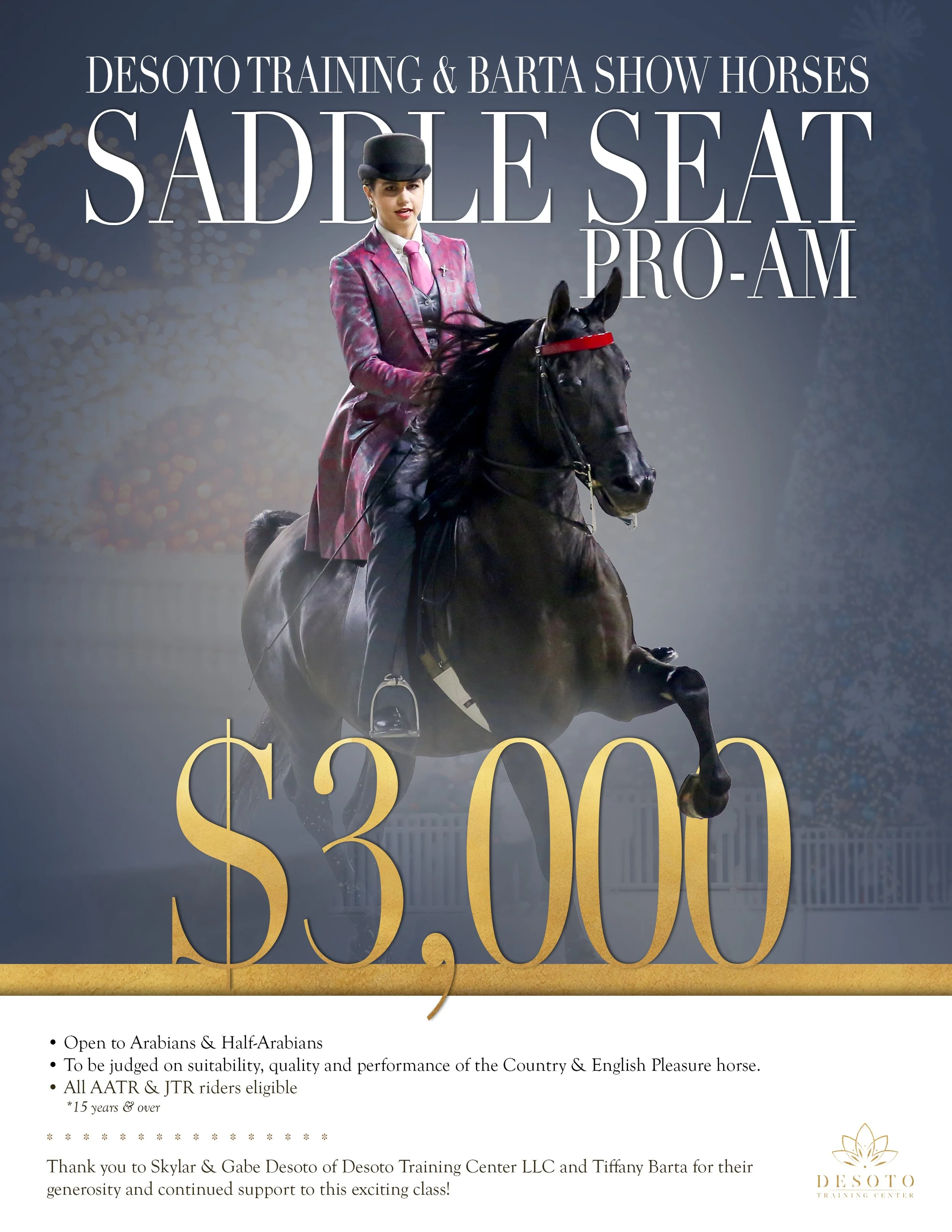 SaddleSeatProAm.jpg