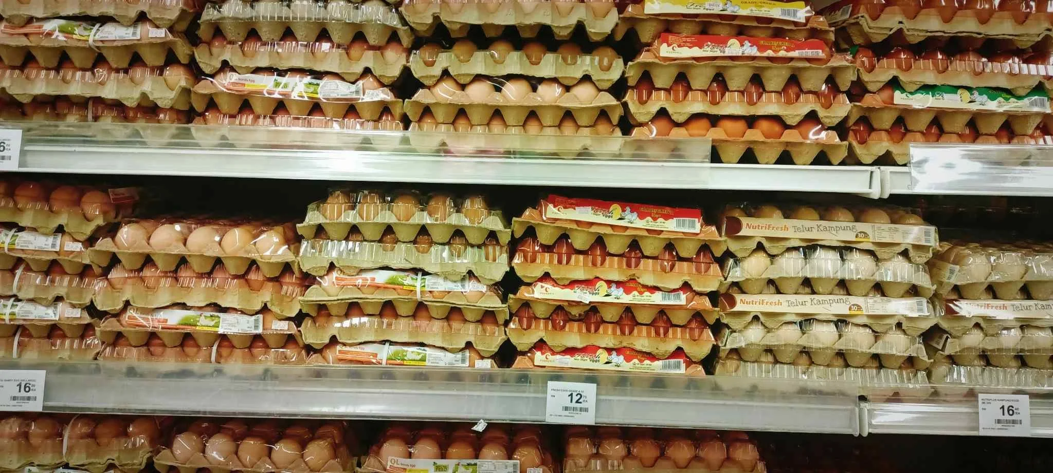 Egg cartons on a supermarket shelf representing rising food prices and the recent cost-of-living crisis.