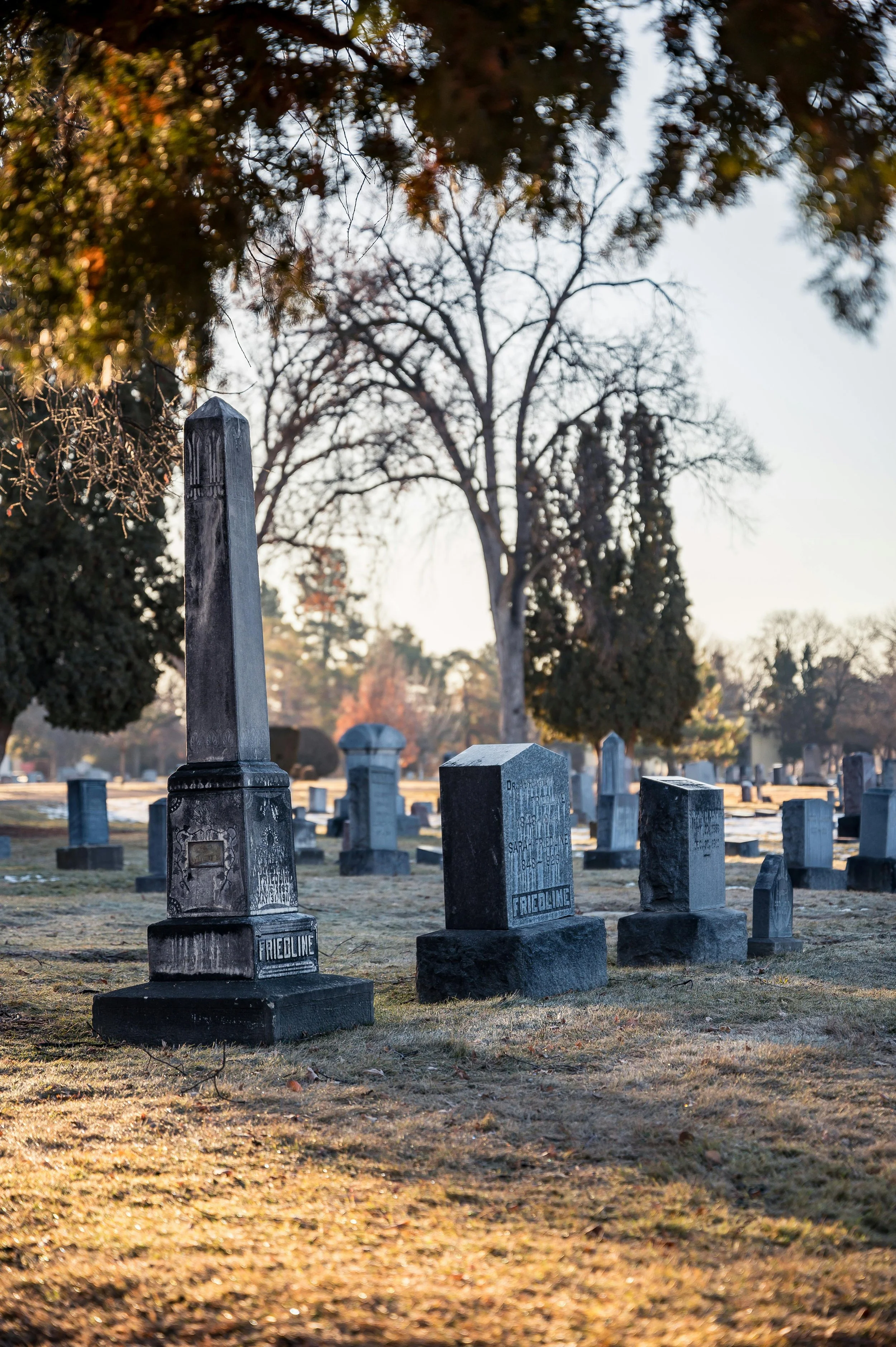 Top Five Regrets of the Dying—Lessons for Financial Independence (FI)