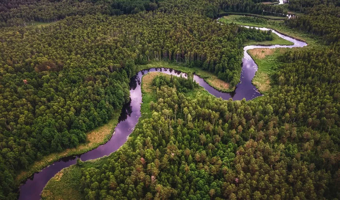 Aerial view of a meandering river through forest — representing how a portfolio allocation drifts gradually over time without active rebalancing.