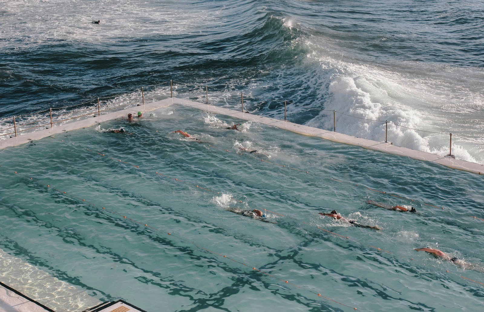 Swimmers doing laps in an ocean pool at sunrise — zone 2 aerobic exercise is the single strongest predictor of longevity.