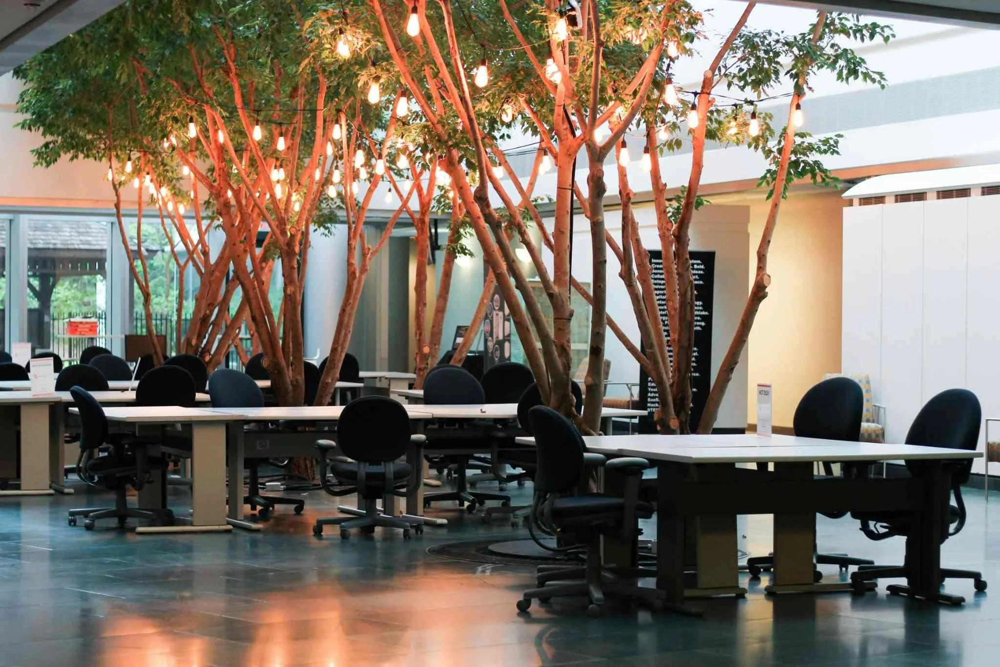 Office interior featuring indoor trees and natural design.