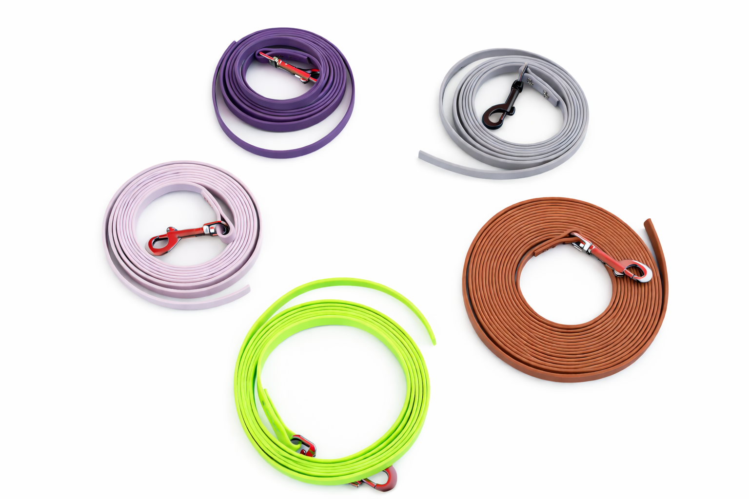 ChatGPT Image Feb 22, 2026, 12_51_34 PM.png