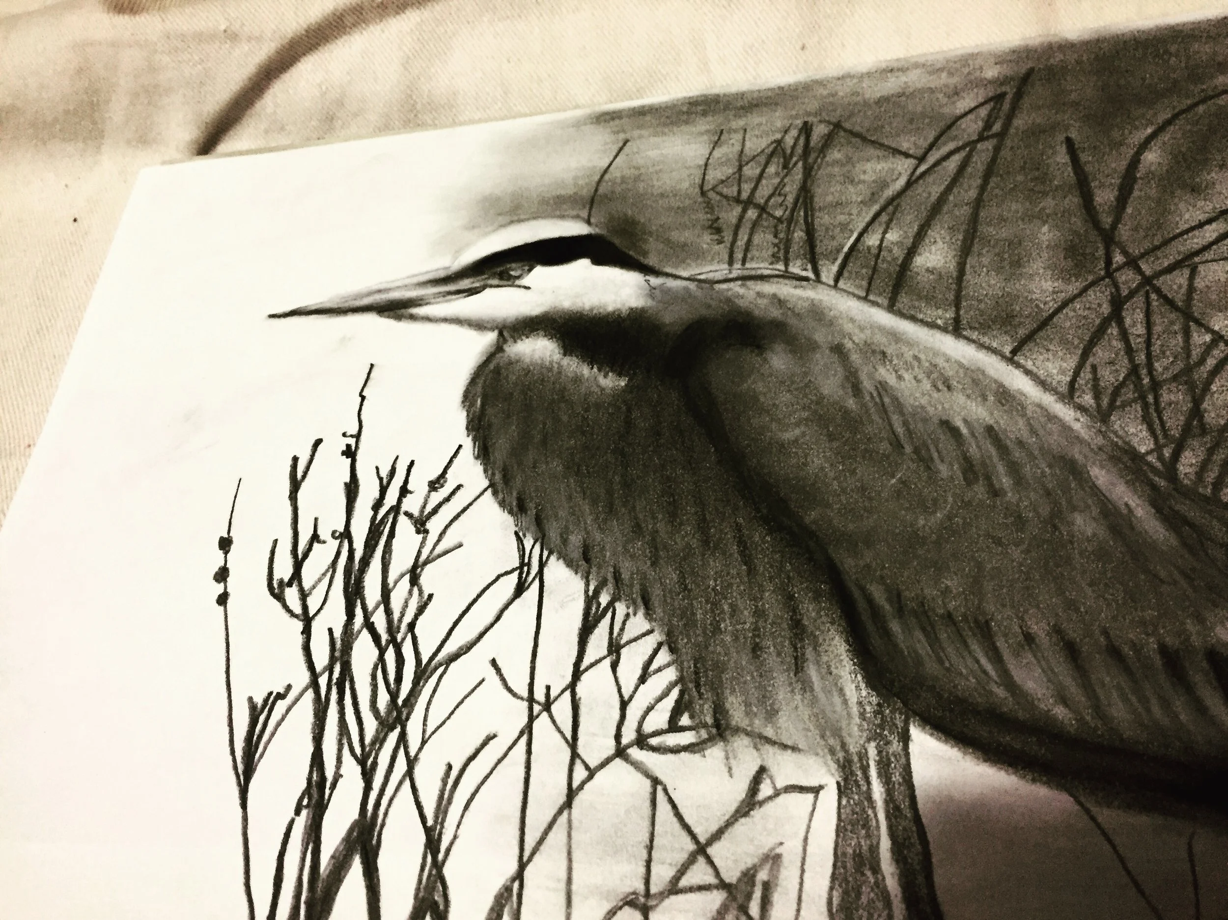 Sold! 11x14 Charcoal on paper