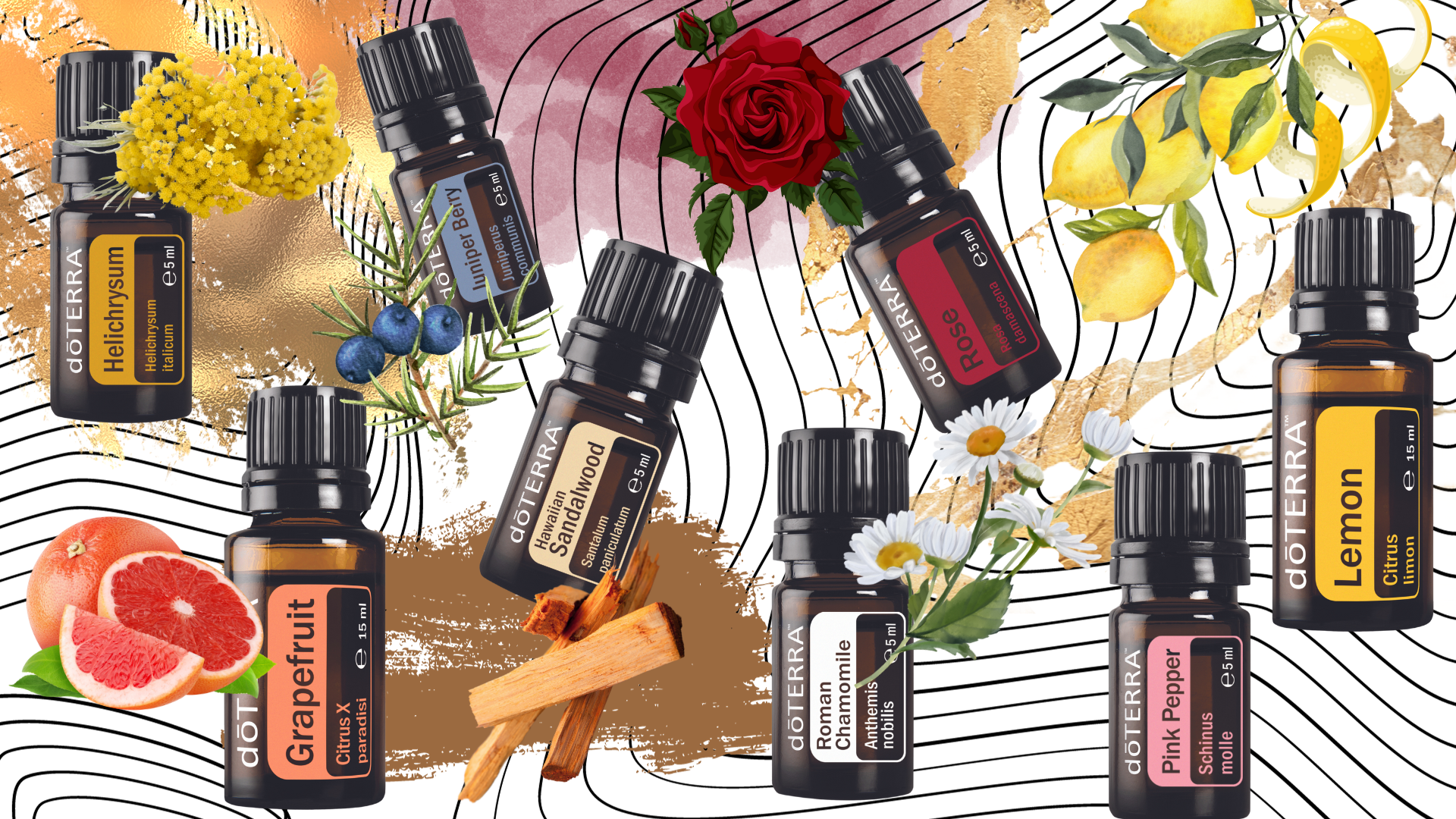 Design ohne Titel.png