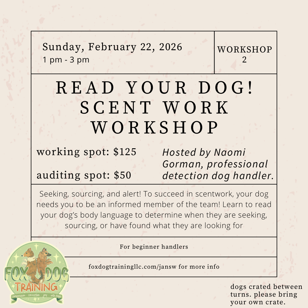 Copy of Green Beige Simple Pottery Workshop Instagram Post - 3.PNG