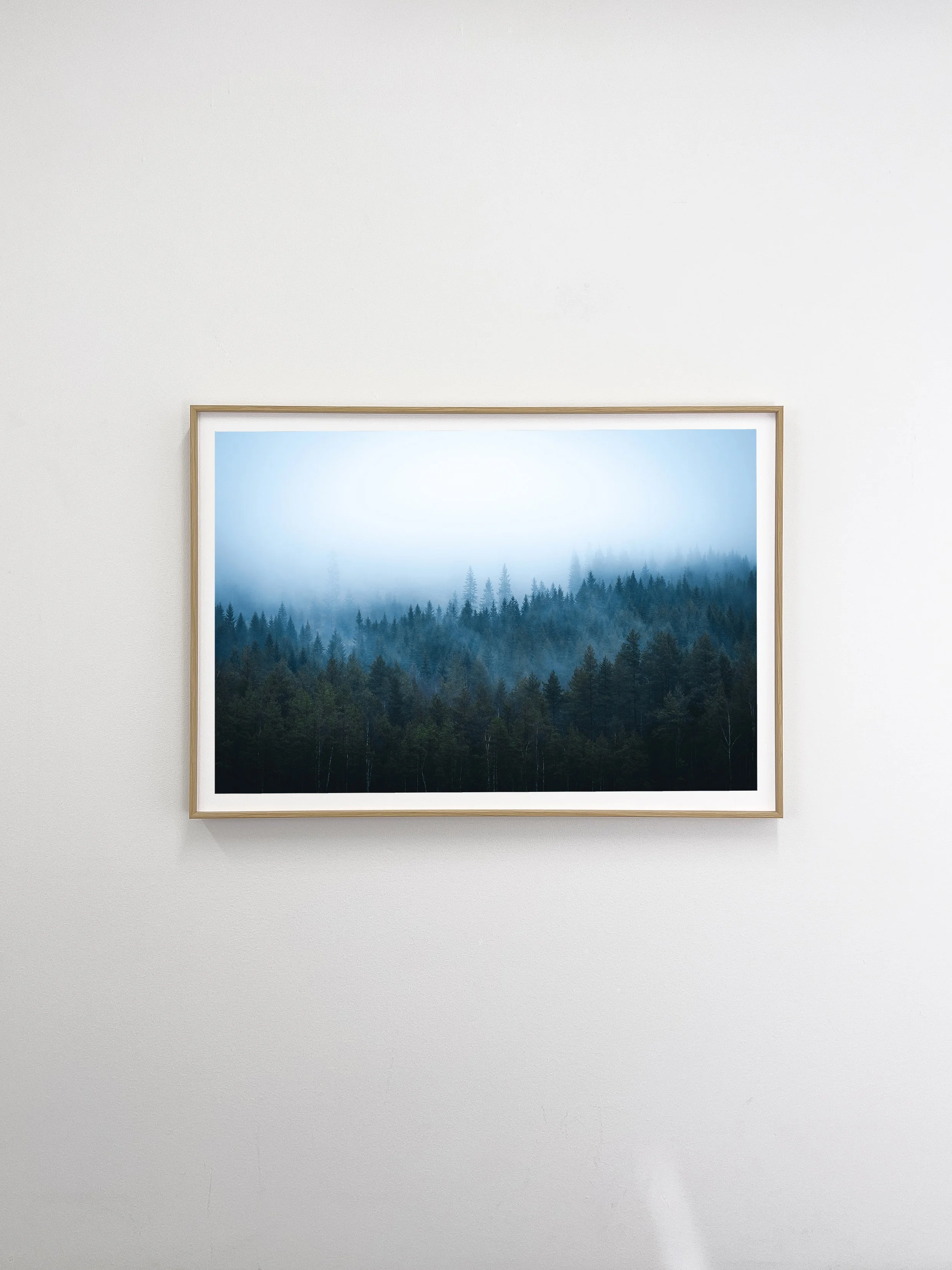 MIST-3.jpg