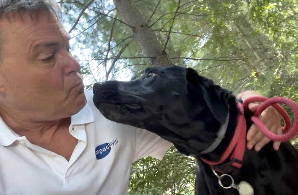 A Touch of Comfort in Sorrow…from Chewy