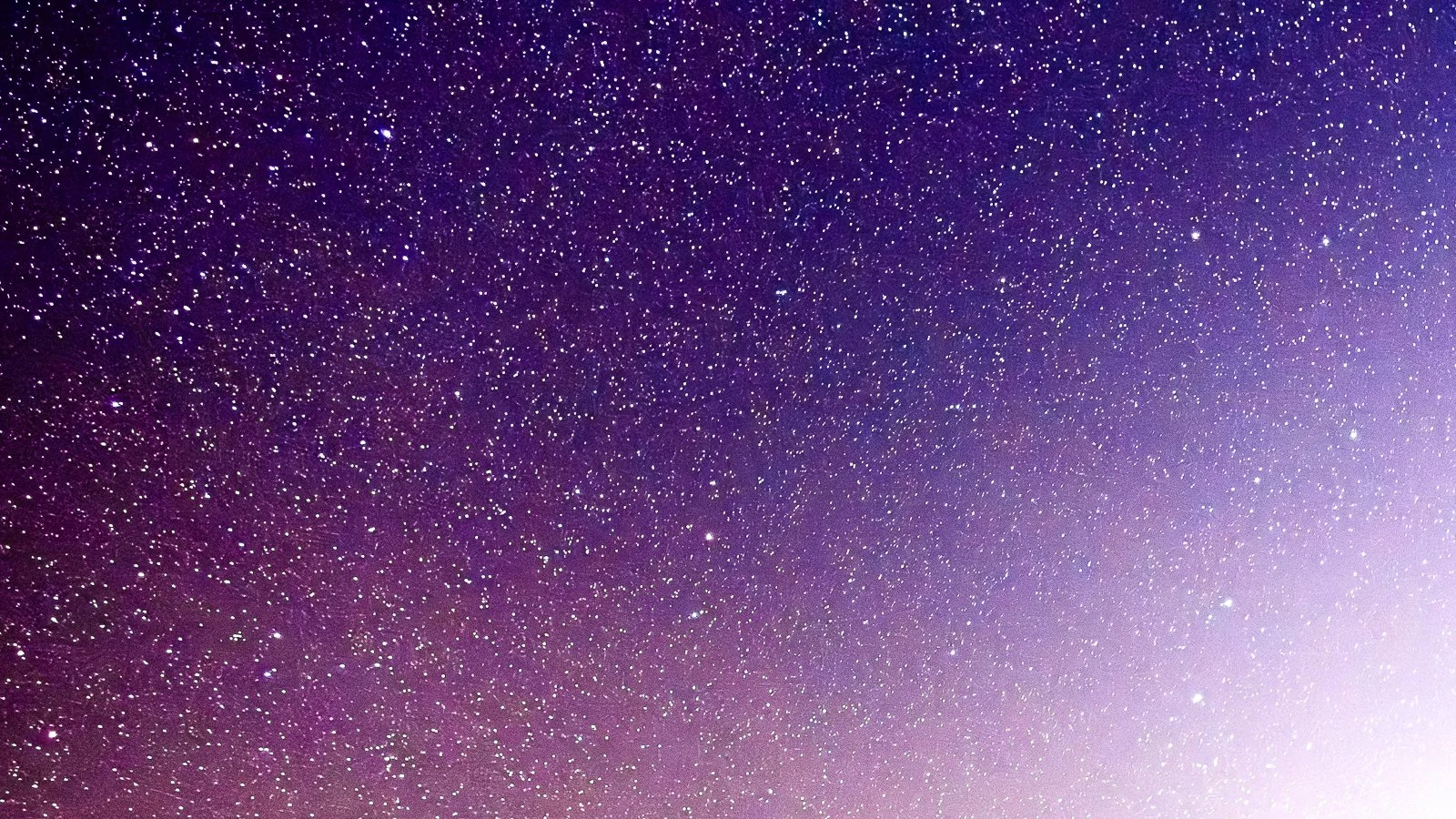 9558-20240202-2.jpg