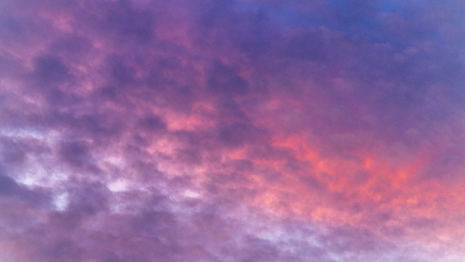 5044-20230929.jpg