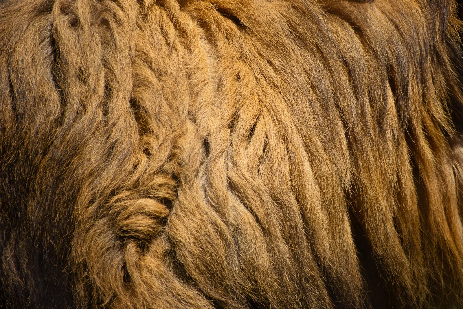3617-20230527-Enhanced-NR-Edit.jpg