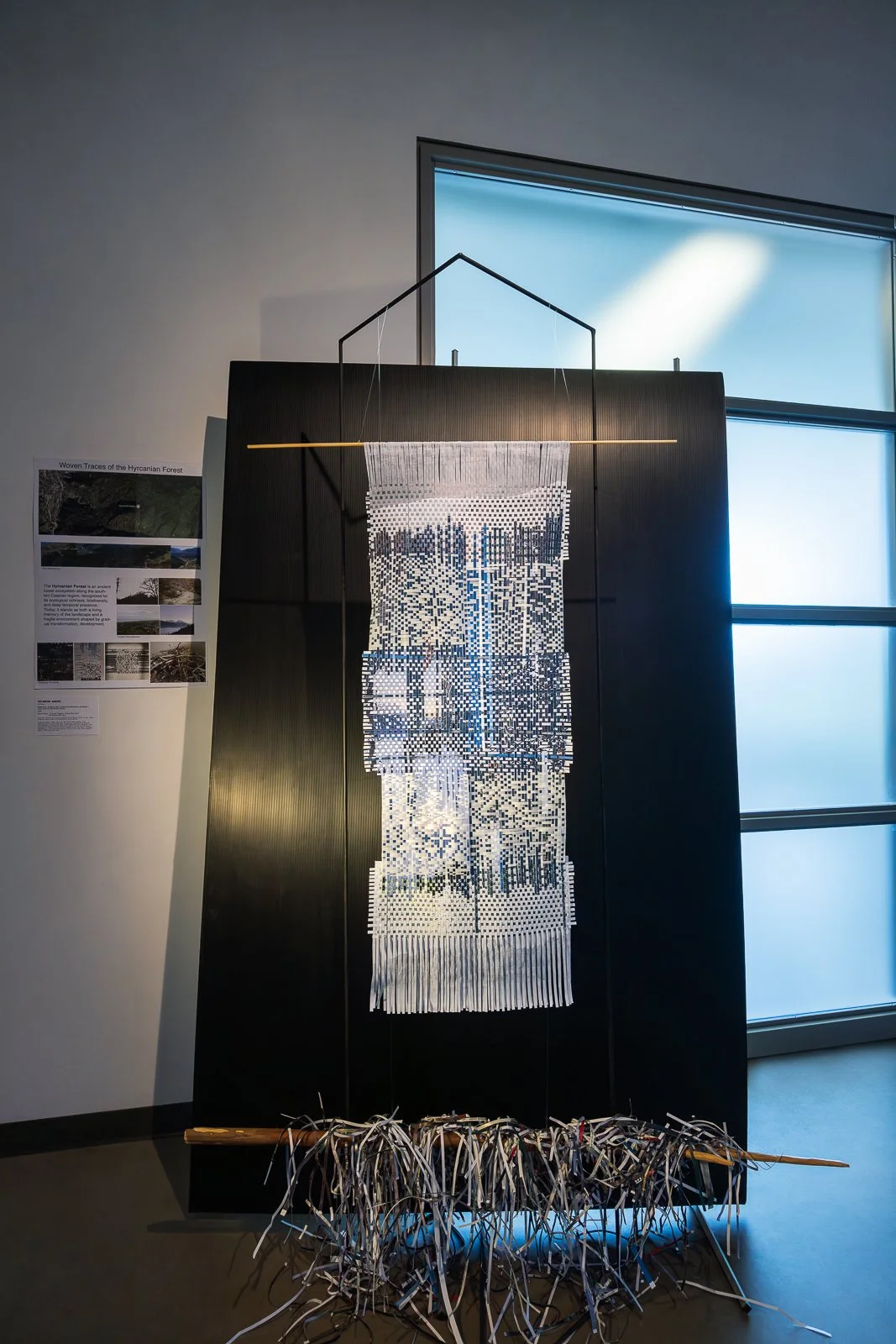 Niloufar Karimi | Biophilia: A Memory Map