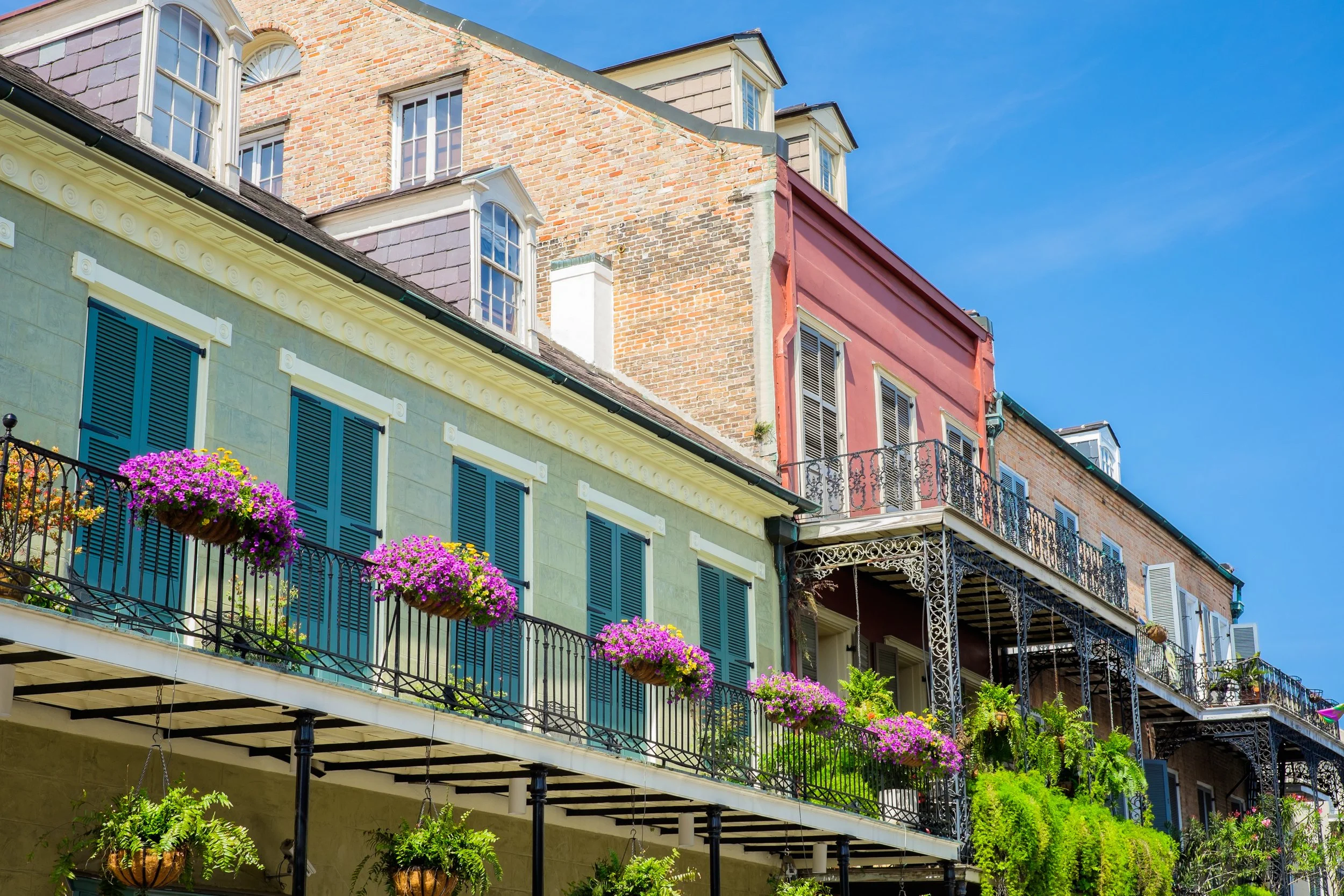 French Quarter plants iron balconys.jpeg