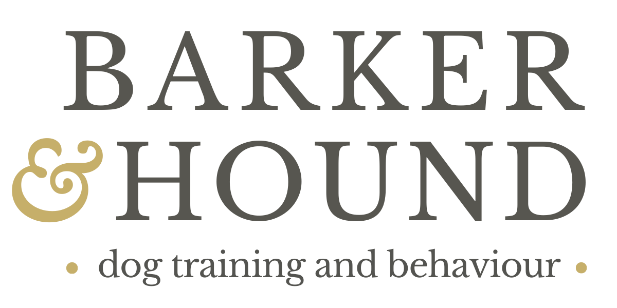 Barker and Hound Dog Training