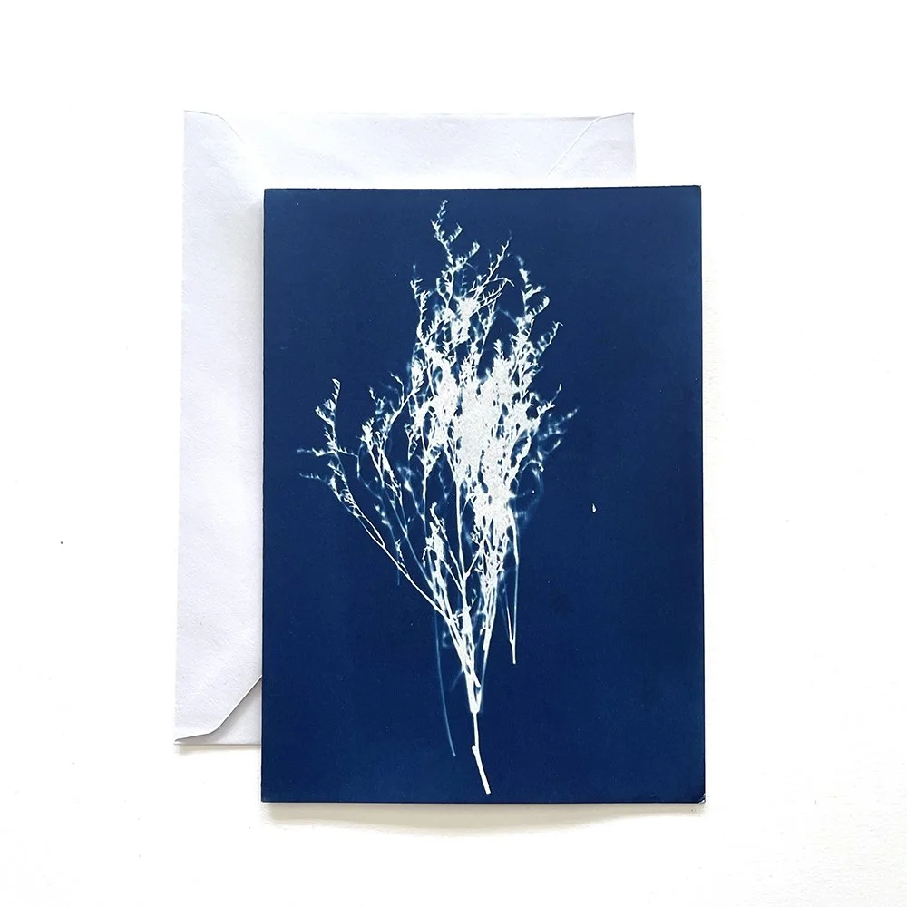 Cyanotype Greeting Card