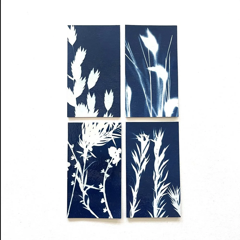 Cyanotype Magnets - Set of 4