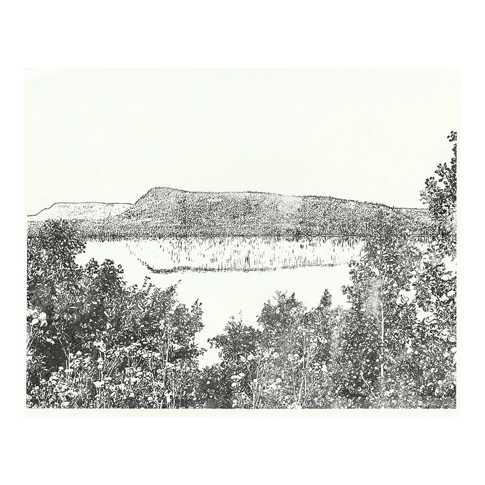 Image Transfer Print
