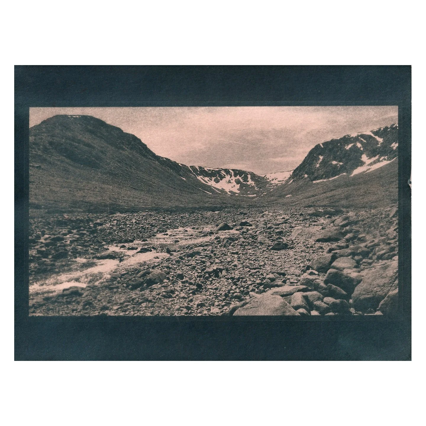 Cyanotype Print