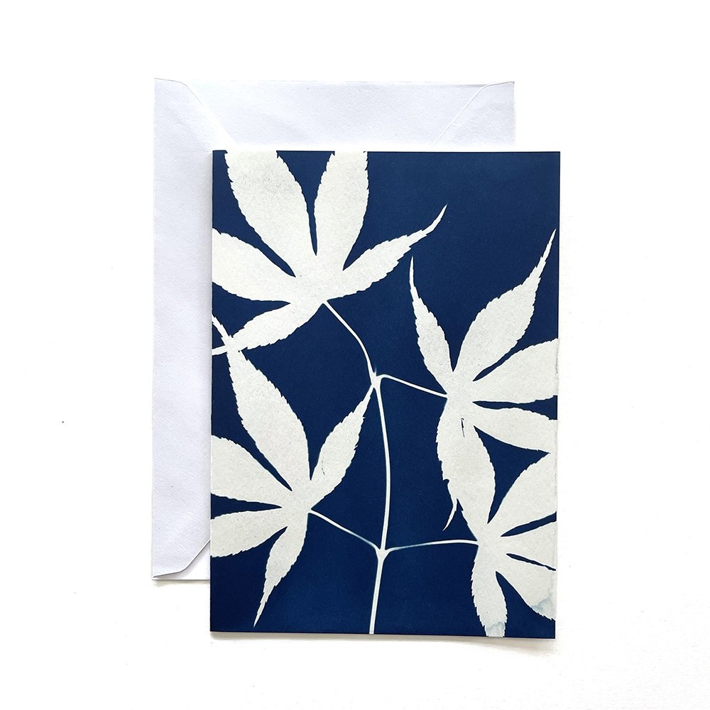 Cyanotype Greeting Card