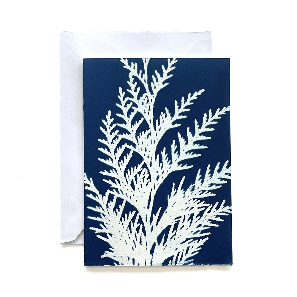 Cyanotype Greeting Card