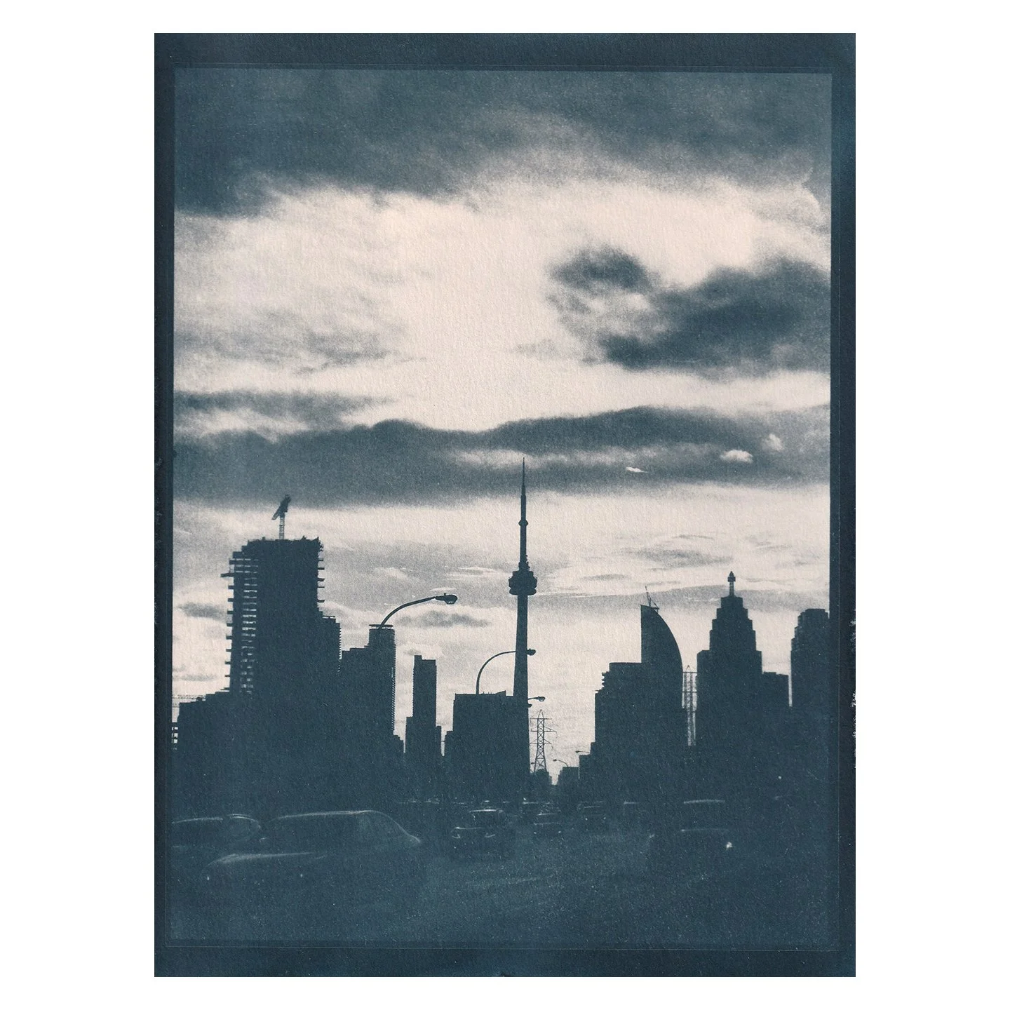 Cyanotype Print