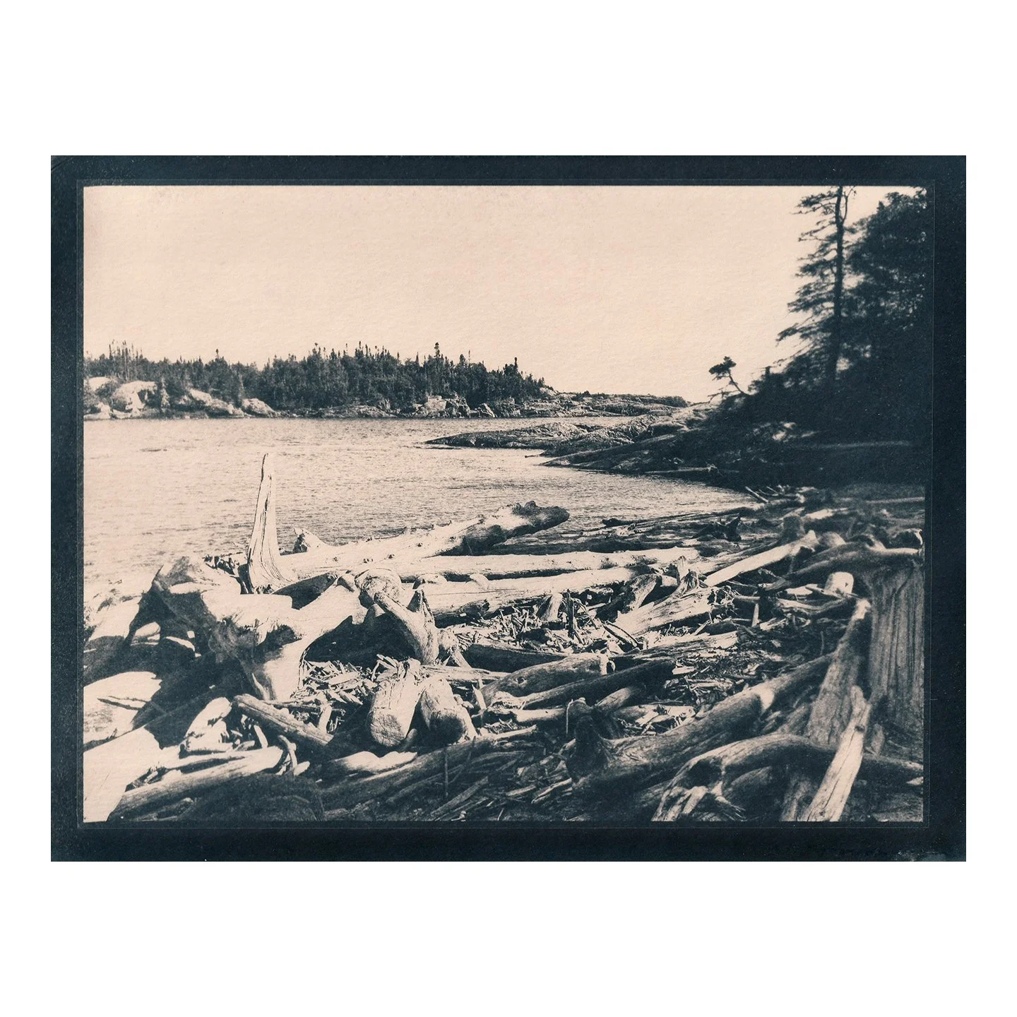 Cyanotype Print